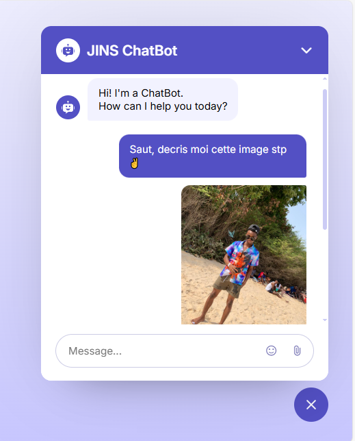 Capture d'écran Chatbot IA